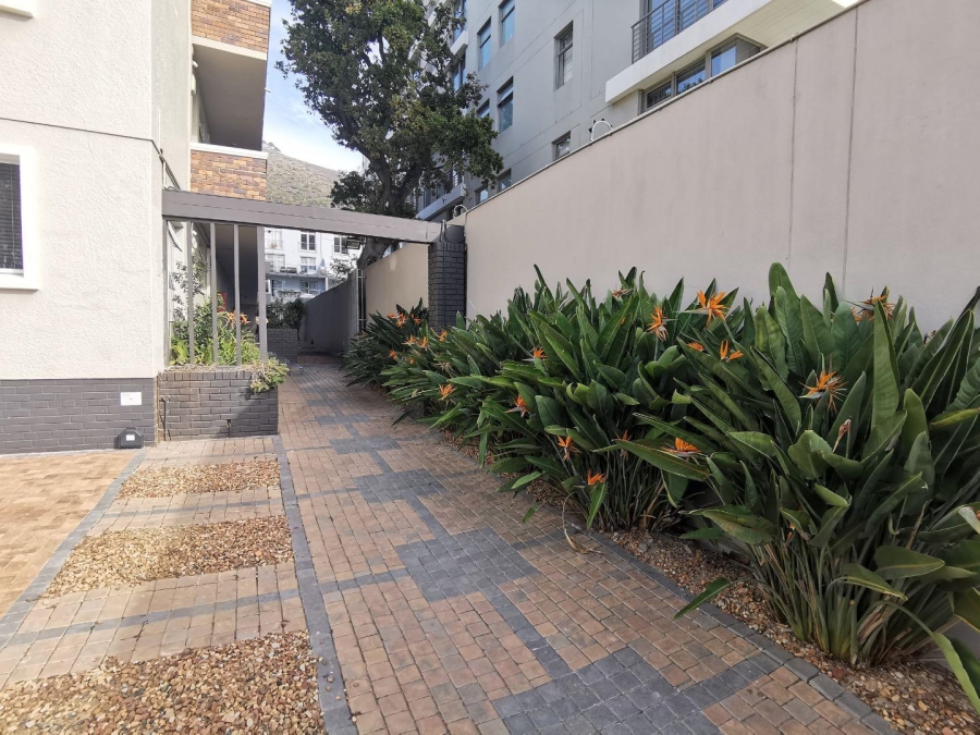 To Let 1 Bedroom Property for Rent in Green Point Western Cape